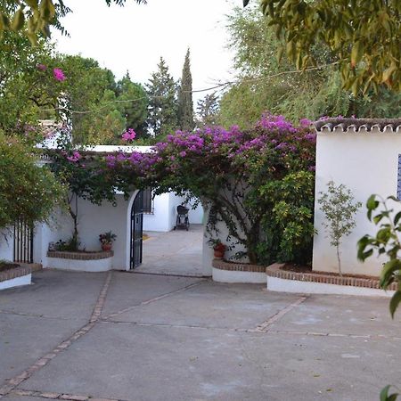 Casa Rural Sevilla, Olivares Olivares  Exteriér fotografie