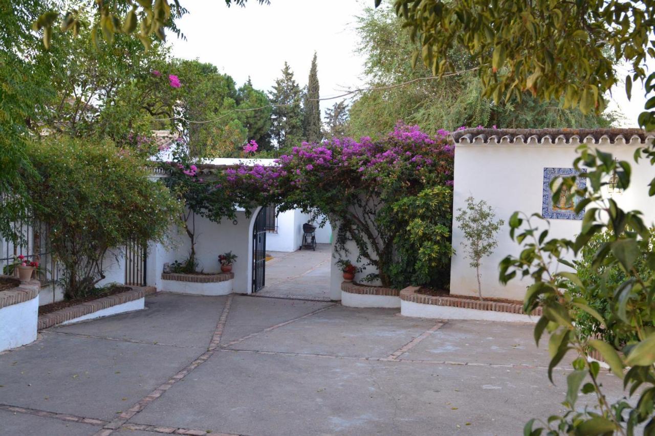 Casa Rural Sevilla, Olivares Olivares  Exteriér fotografie