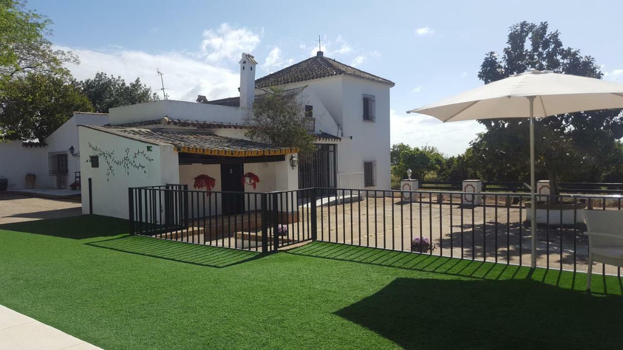 Casa Rural Sevilla, Olivares Olivares  Exteriér fotografie